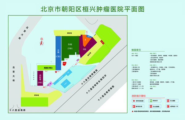 小姐操逼视频免费网址北京市朝阳区桓兴肿瘤医院平面图